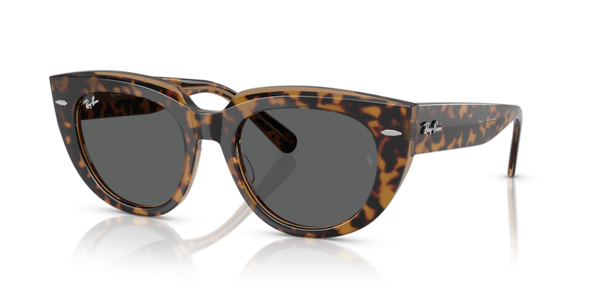 Occhiali della ray ban sale